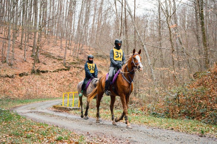 (Konjički klub Astra)