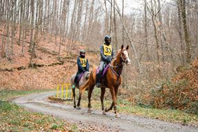 (Konjički klub Astra)