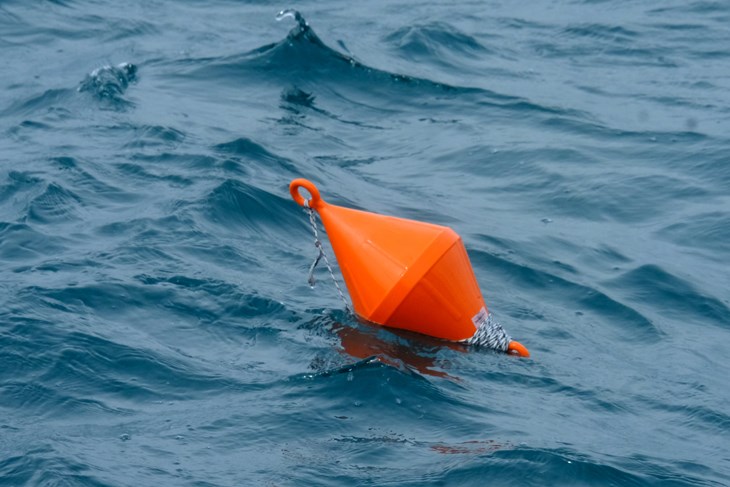 (Snimio Milivoj Mijošek)