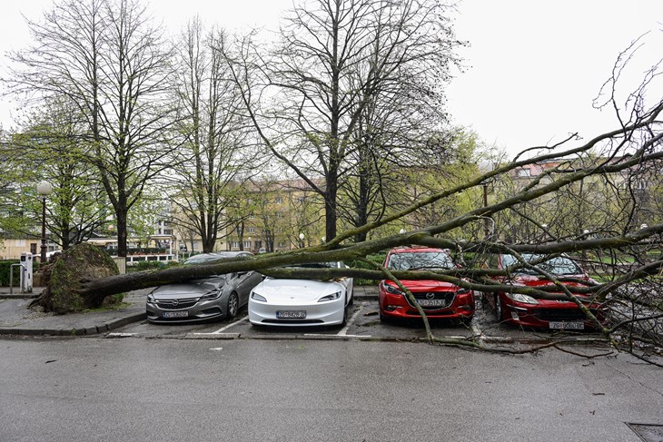 Ilustracija (Snimila Neva Žganec / Pixsell)