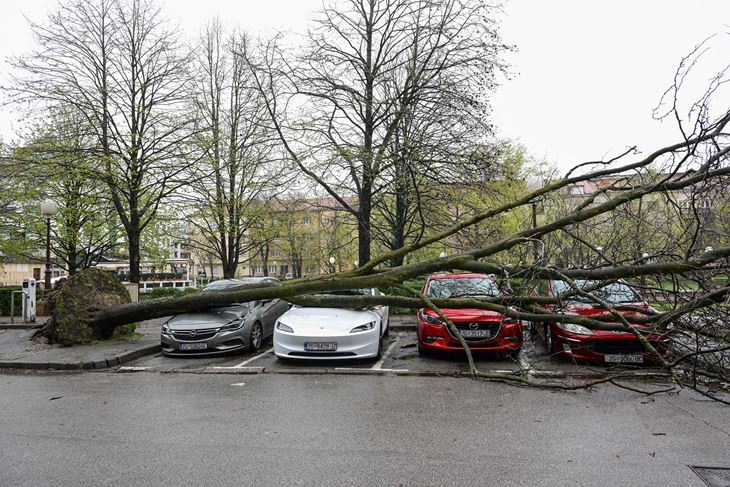 Ilustracija (Snimila Neva Žganec / Pixsell)