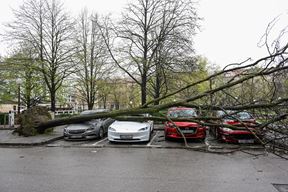 Ilustracija (Snimila Neva Žganec / Pixsell)