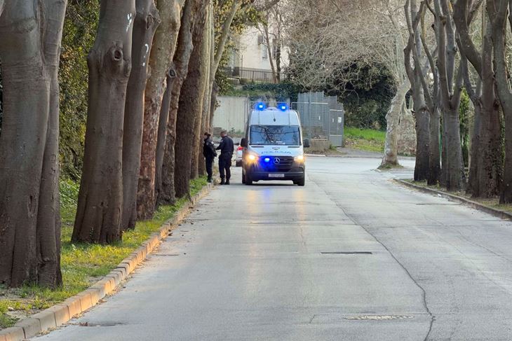 Ilustracija (Snimio Nikola Pušonjić)