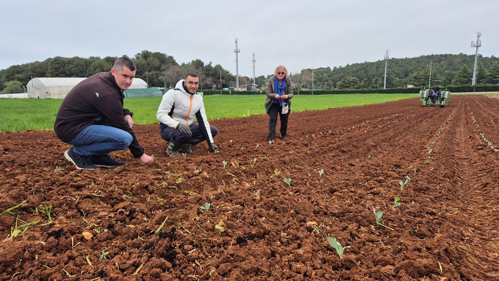 (Institutu za poljoprivredu i turizam)