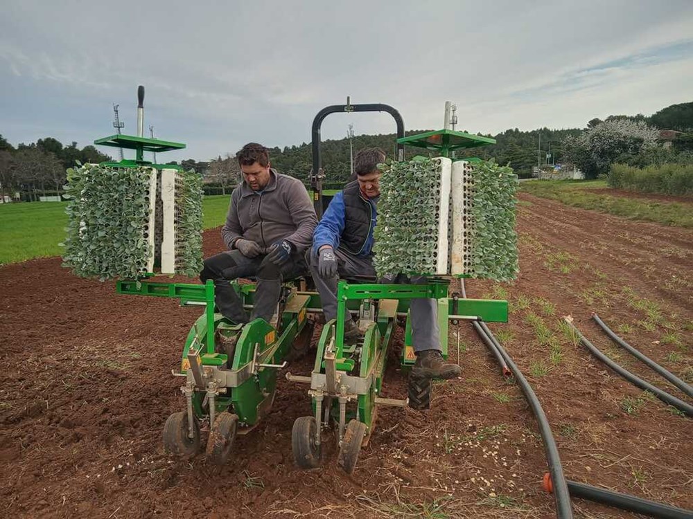 (Institutu za poljoprivredu i turizam)