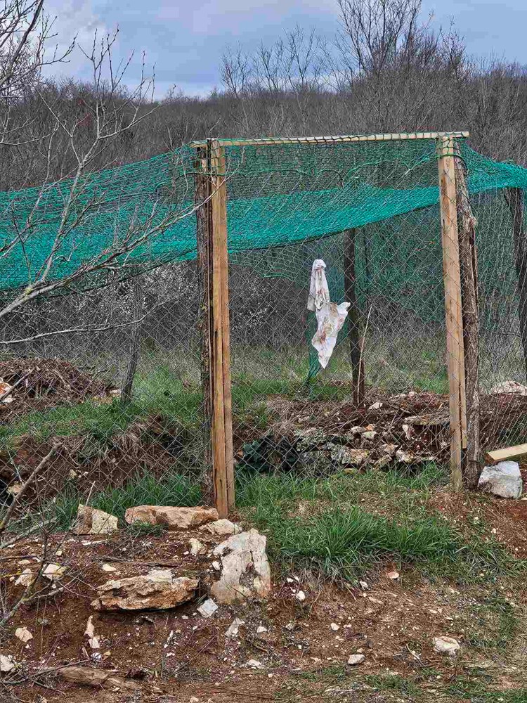 (Snimila čitateljica Glasa Istre)