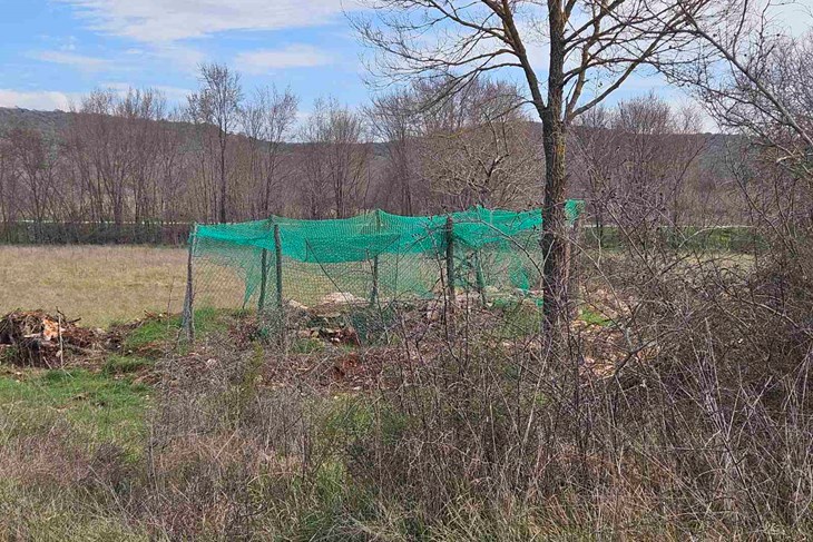 (Snimila čitateljica Glasa Istre)