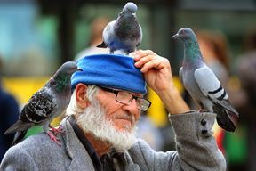 (Snimio Milivoj Mijošek)