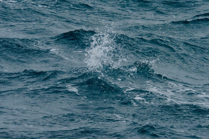 (Snimio Milivoj Mijošek)