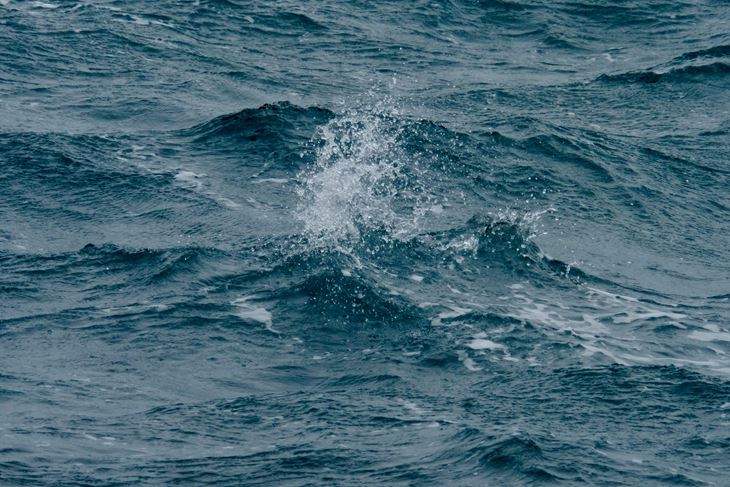 (Snimio Milivoj Mijošek)