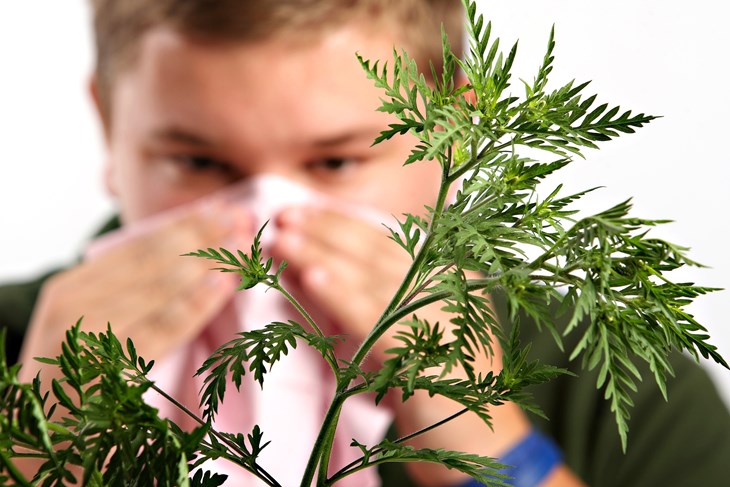 Ilustracija (Snimio Davor Puklavec / Pixsell)