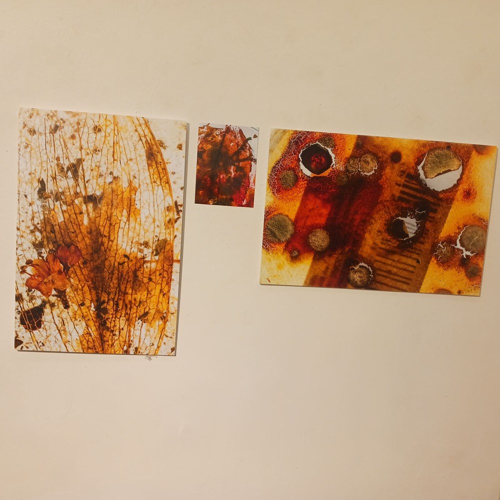 (Snimila Vanesa Begić)