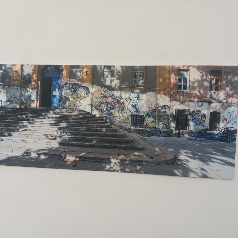 (Snimila Vanesa Begić)