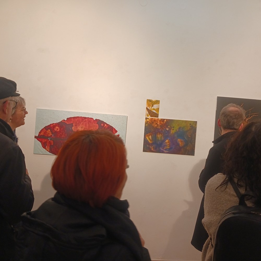 (Snimila Vanesa Begić)