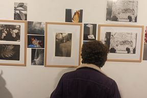 (Snimila Vanesa Begić)