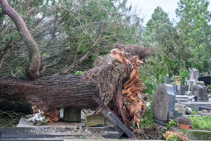 (Snimila Sandra Šimunović/Pixsell)