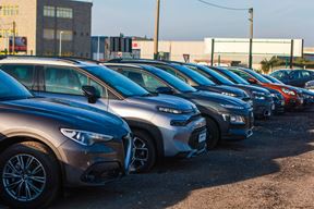 (Snimio Mate Komina)