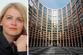 (Davor Kovačević, Pixabay)