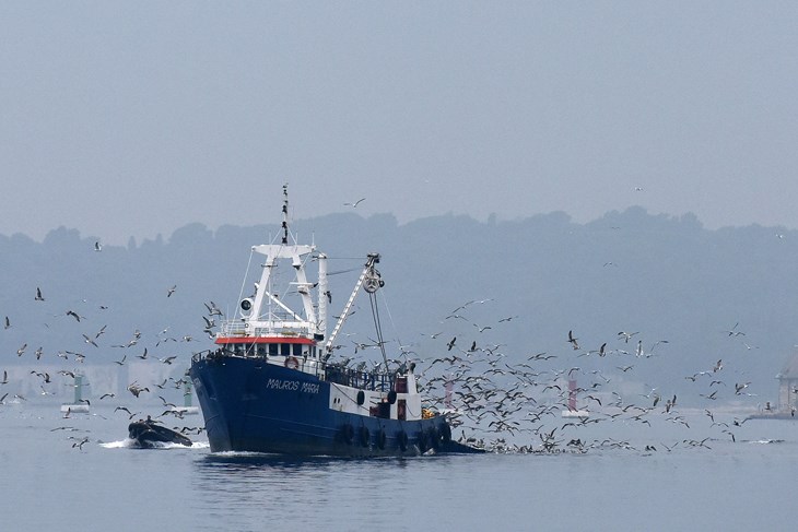 Ilustracija (Snimio Duško Marušić / Pixsell)