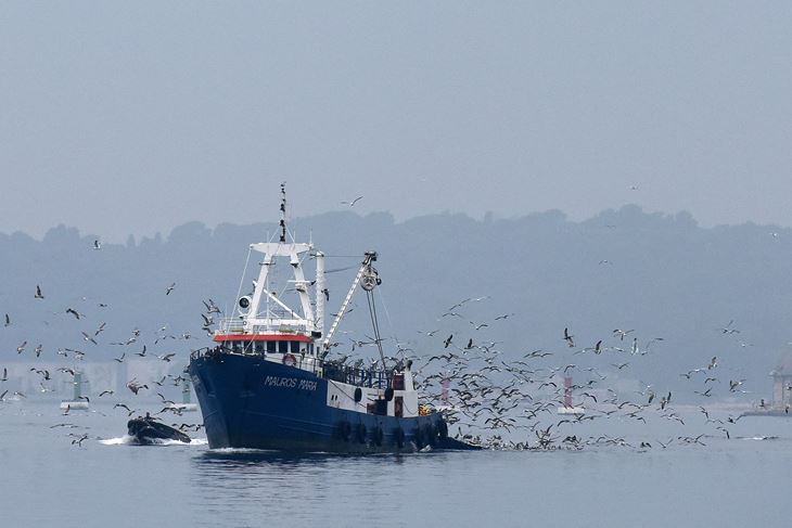 Ilustracija (Snimio Duško Marušić / Pixsell)