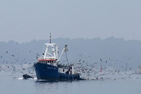 Ilustracija (Snimio Duško Marušić / Pixsell)