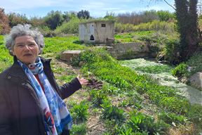 (Snimio Zoran Oljača)