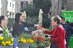 (Snimila Annamaria Vidović)