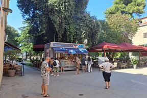 (Snimila Jelena Milović)