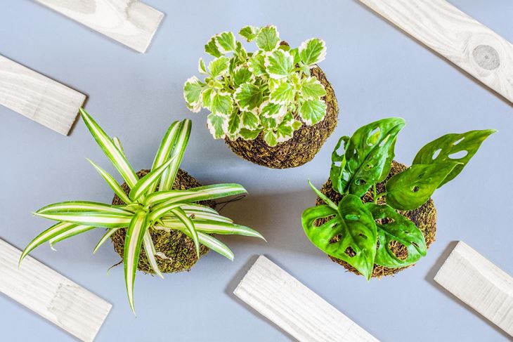 Ilustracija (Pixabay)