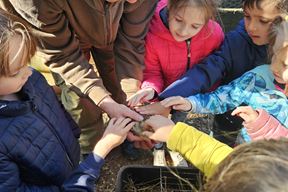 (Foto Općina Medulin)