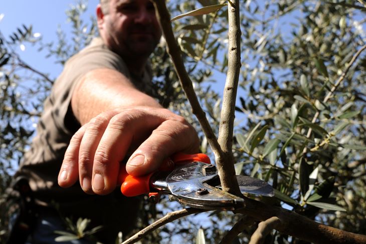 (Snimio Milivoj Mijošek)