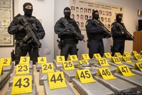 Ilustracija (Snimio Grgo Jelavić / Pixsell)