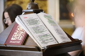 Ilustracija (Snimio Luka Jeličić)