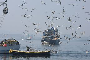 (Snimio Duško Marušić / Pixsell)