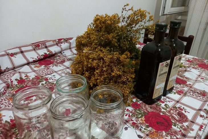 (Snimio SOFIJA KNEŽEVIĆ/ AGROKLUB)