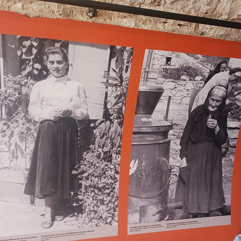 (Snimila Vanesa Begić)