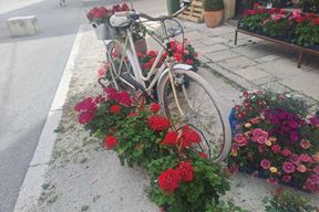 (Snimila Jelena Milović)