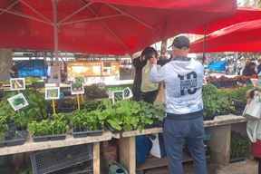 (Snimila Jelena Milović)