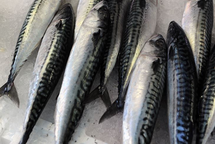 (Snimio Ognjen Alujevic)