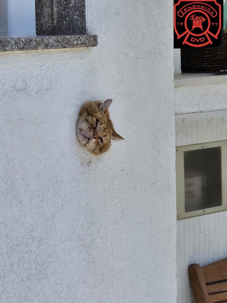 (Foto: DVD Žrnovica)