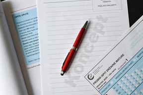 Ilustracija (Snimila Sandra Simunovic / Pixsell)