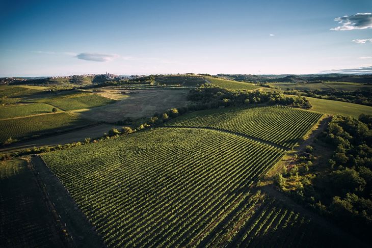 (Foto Vinarija Veralda)