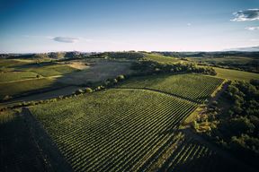 (Foto Vinarija Veralda)