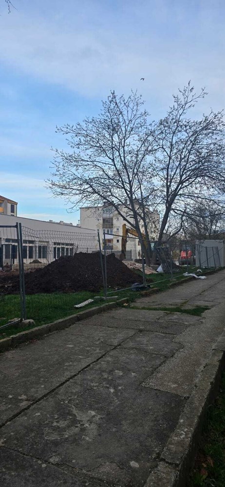 (Snimila čitateljica)