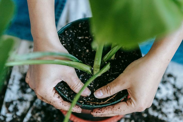 Ilustracija (Pexels)