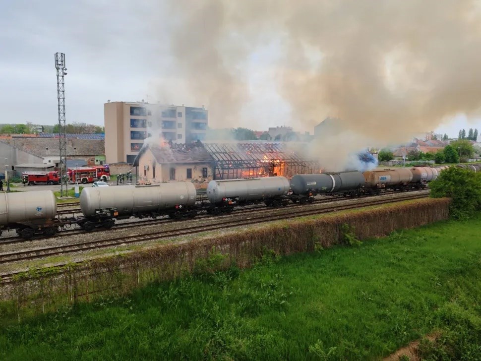 (Snimio Gojko Mitić)