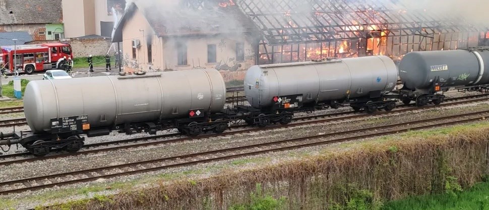 (Snimio Gojko Mitić)