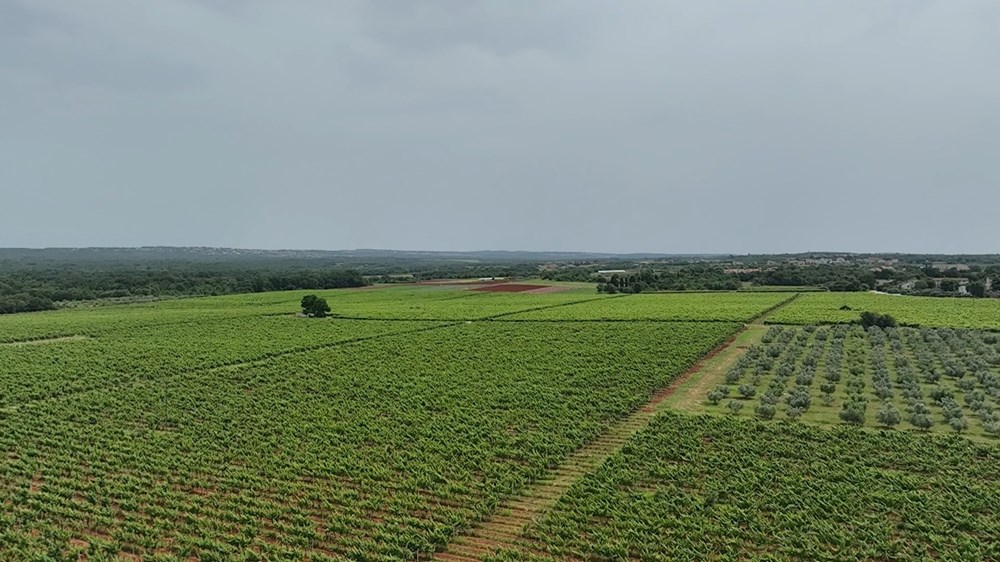 (Foto Istarska županija)