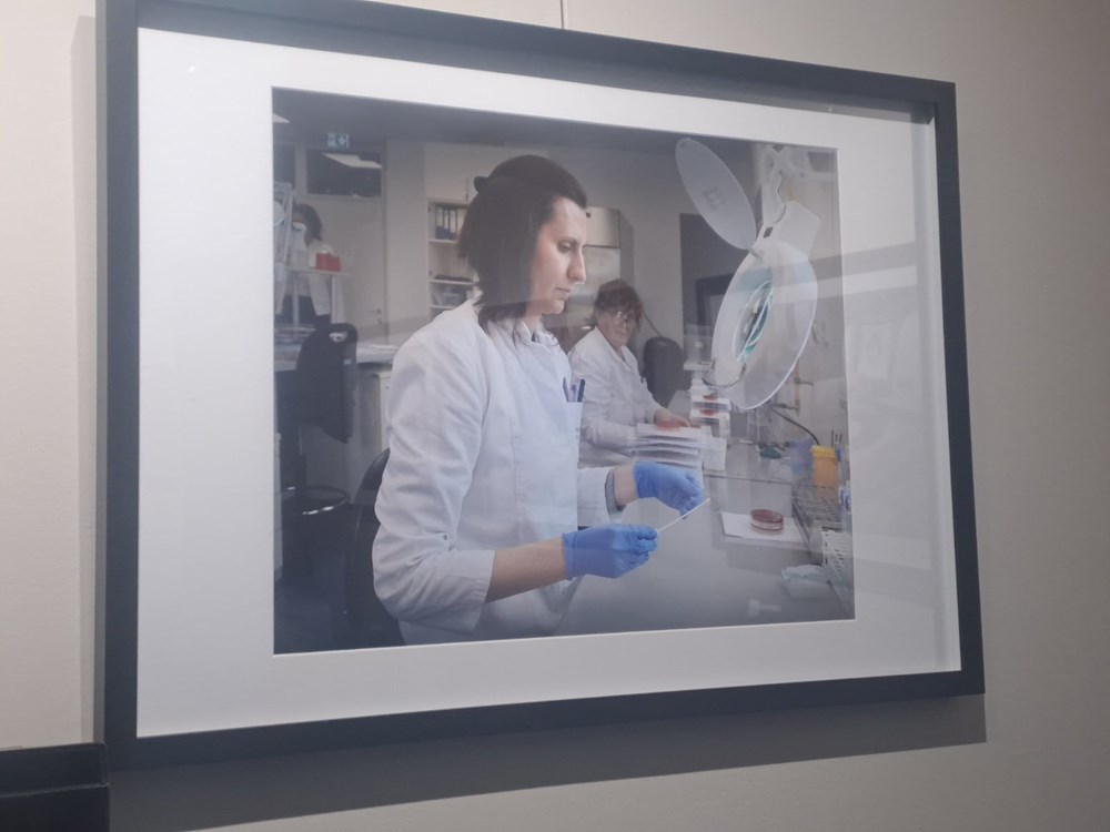 (Snimila Jelena Milović)