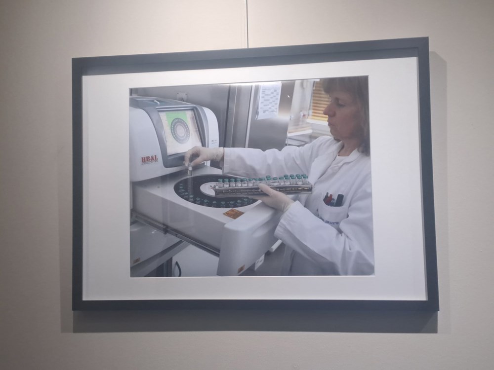 (Snimila Jelena Milović)